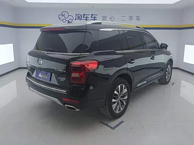 2017 GAC Trumpchi Trumpchi GS8 320T AWD Luxury Smart Connect (7-Seater), фото 3, лот 10415285