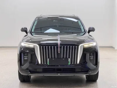 2021 Hongqi E-HS9 510km Flagship Comfort 6-seater, фото 2, лот 10414973