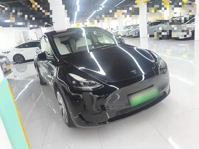 2022 Tesla Model Y Rear-Wheel Drive Version, фото 4, лот 10375596