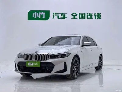 2023 BMW 3 Series 320Li M Sport Package, фото 1, лот 11200513