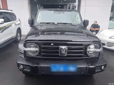 2023 Tank 300 Off-Road Edition 2.0T Challenger, фото 3, лот 10347398