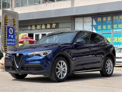 2017 Alfa Romeo Stelvio 2.0T 200HP Elite, фото 1, лот 10239824