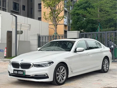 2019 BMW 5 Series New Energy 530Le Luxury Package, фото 1, лот 10474176