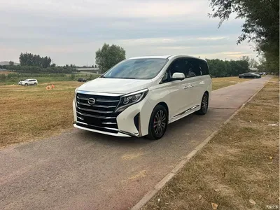 2021 GAC Trumpchi Trumpchi M8 Leading Show Series 390T Ultimate Edition, фото 3, лот 11243074