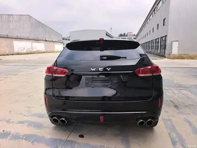 2017 WEY VV5 2.0T Super Luxury Model, фото 3, лот 10764728