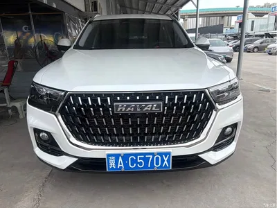 2023 Haval H6 National Trend Edition 1.5T Automatic Champion, фото 2, лот 10312611
