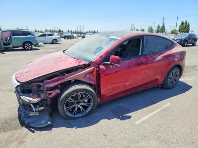 2024 TESLA MODEL Y, фото 1, лот 10852310