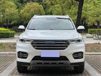 2017 Haval H6 Blue Label 2.0T Automatic 2WD Smart Edition, фото 2, лот 10282803