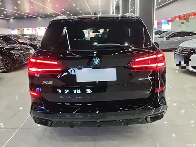 2022 BMW X5 xDrive 40Li Premium M Sport Package, фото 4, лот 11196557