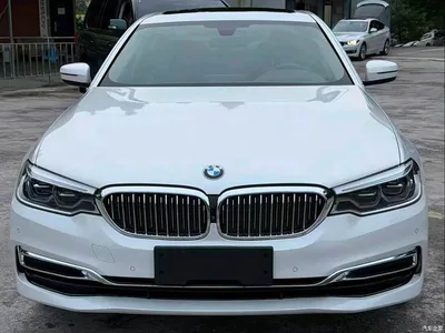 2020 BMW 5 Series 530Li Premium Luxury Package, фото 2, лот 10766689