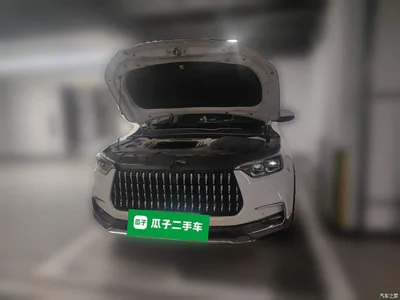 2018 Leopaard Mattu 1.6T GDI DCT Premium Edition, фото 3, лот 11643491