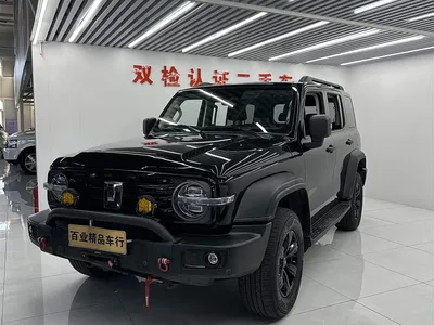 2021 Tank 300 Off-road Version 2.0T Conqueror, фото 1, лот 11224223