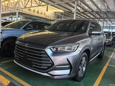 2021 BYD Song Pro 1.5T Auto Cloud Warrior Premium, фото 1, лот 10274770