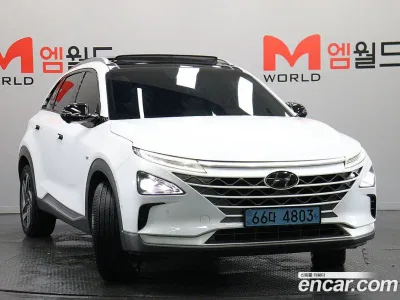 2020 Hyundai Nexo Premium, фото 1, лот 10041436