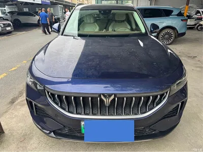 2021 Voyah Auto VOYAH FREE AWD Standard Range Extender Exclusive Luxury Package, фото 2, лот 10955431
