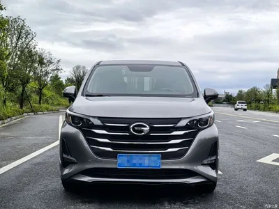 2019 GAC Trumpchi Trumpchi M6 270T DCT Luxury Edition (6-seater) (China VI), фото 2, лот 10419514