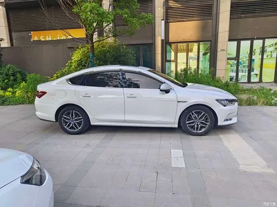 2019 BYD Qin Pro New Energy EV Super Edition High-power Smart Connection Premium, фото 3, лот 11172164