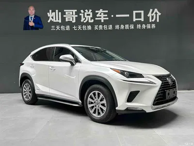 2020 Lexus NX 300h FWD F Sport China VI, фото 3, лот 11546156