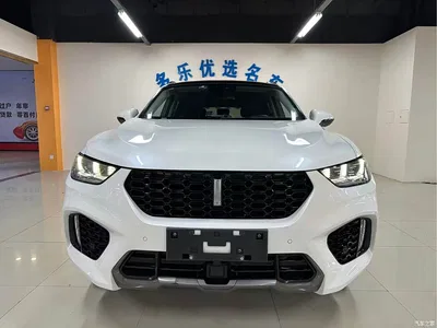 2017 WEY VV5 2.0T Super Luxury Model, фото 2, лот 10451824