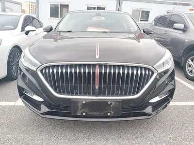 2022 Hongqi H5 Classic Facelift 1.5T DCT Flag Rhythm Edition, фото 3, лот 10387222