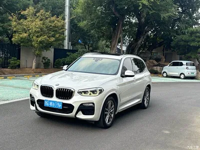 2019 BMW X3 xDrive28i M Sport Package, фото 1, лот 11548247