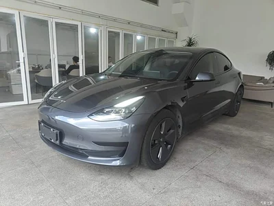 2022 Tesla Model 3 Model Rear-Wheel Drive Version, фото 1, лот 10369641