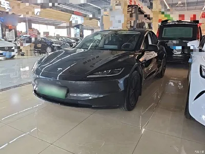 2025 Tesla Model 3 Model Rear-Wheel Drive Edition, фото 1, лот 10369448