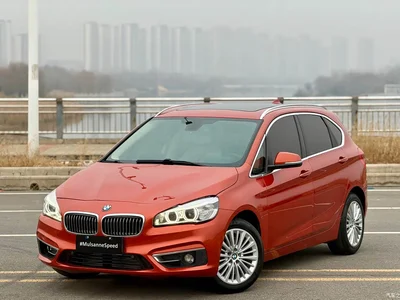 2016 BMW 2 Series Touring 220i Leading Model, фото 1, лот 10684164