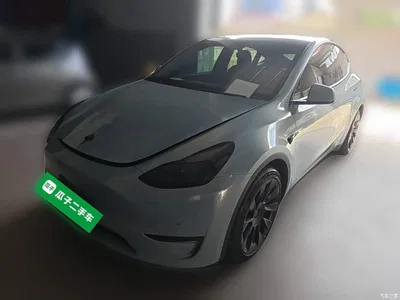 2021 Tesla Model Y Standard Range Rear-Wheel Drive, фото 1, лот 10370699