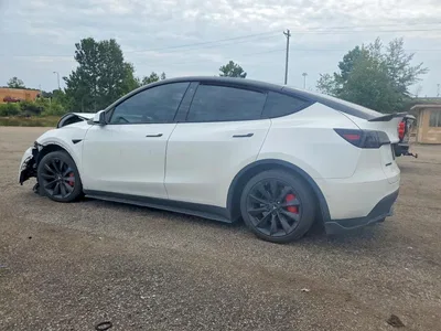2020 TESLA MODEL Y, фото 2, лот 10855478