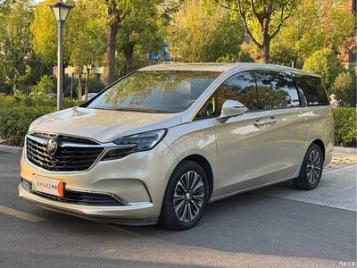 2020 Buick GL8 Model ES Landglory 653T Luxury, фото 1, лот 11580397