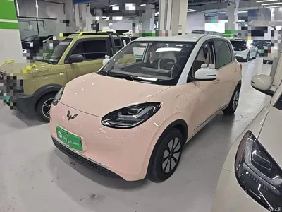 2024 Wuling Motors Wuling Bingo 333km Comfort Edition, фото 1, лот 10768813