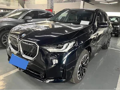 2025 BMW X3 xDrive30L Premium M Sport Package, фото 1, лот 10461002