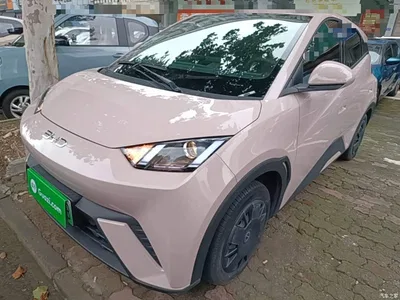 2024 BYD Seagull Glory Edition 305km Vitality Edition, фото 2, лот 11511974