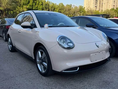 2023 Ora Good Cat 401km Standard Range Luxury LFP, фото 2, лот 10690229