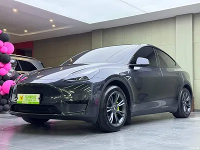 2024 Tesla Model Y Rear-Wheel Drive Version, фото 1, лот 10397205