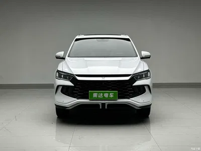2024 BYD Song Pro New Energy Glory Edition DM-i 71KM Leading, фото 2, лот 10274745