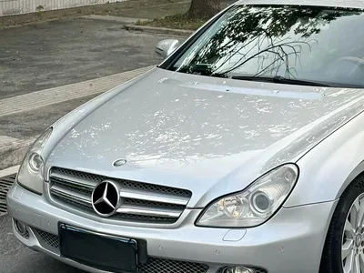 2009 Mercedes-Benz CLS 300, фото 2, лот 10298450