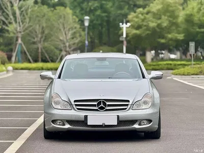 2009 Mercedes-Benz CLS 300, фото 2, лот 10300860
