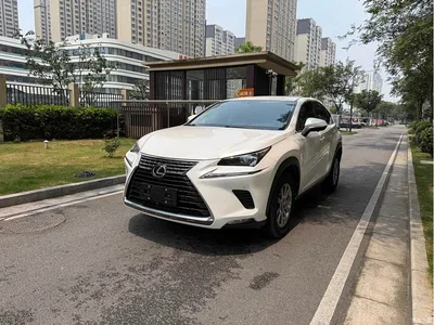 2018 Lexus NX Model 200 FWD Fengxing Edition China V, фото 1, лот 10318572