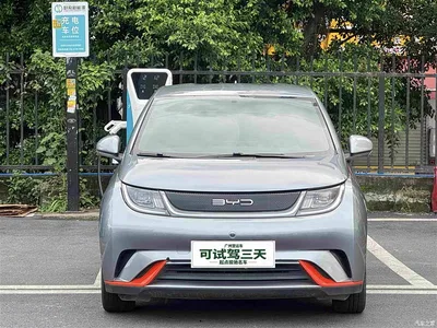 2021 BYD Dolphin 405km Freedom Edition, фото 3, лот 10248273