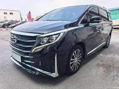 2023 GAC Trumpchi Trumpchi M8 Leading Series 390T Prestige Edition, фото 1, лот 10423928