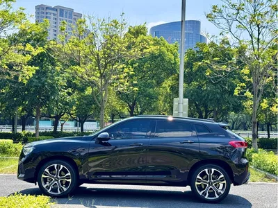2017 WEY VV7 2.0T Flagship, фото 4, лот 10570824