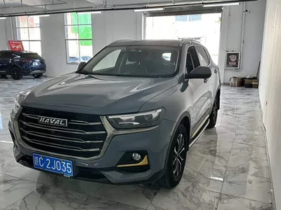 2021 Haval H6 National Trend Edition 1.5T Automatic Urban Edition, фото 3, лот 11564895
