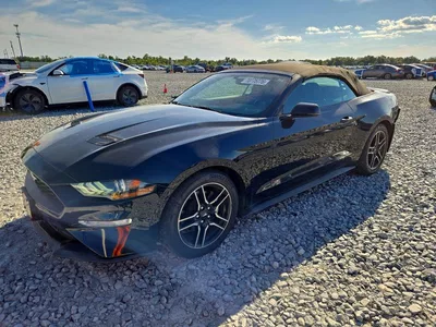 2019 FORD MUSTANG, фото 1, лот 11311442