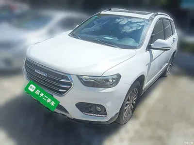 2017 Haval H6 Blue Label Sport 1.5T Auto 2WD Luxury, фото 3, лот 10387725