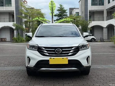 2019 GAC Trumpchi Trumpchi GS4 270T Automatic 2WD Elite Edition, фото 2, лот 11179604