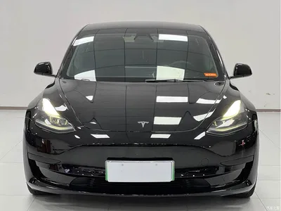 2021 Tesla Model 3 Standard Range Rear-Wheel Drive Upgrade 3D6, фото 2, лот 10350480