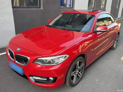 2014 BMW 2 Series (Import) 220i Sport Design Package, фото 1, лот 11182907