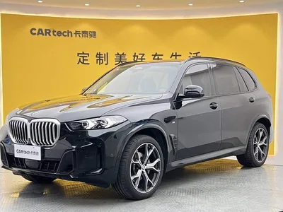 2023 BMW X5 xDrive 30Li Premium M Sport Black Night Package, фото 1, лот 10411085